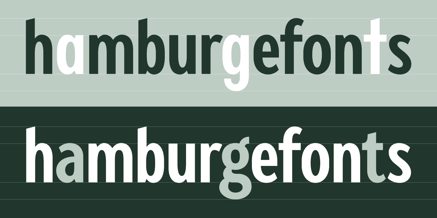 Beispiel einer Fellbaum Grotesk Thin Italic-Schriftart